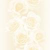 22P 2119-1.jpg class=